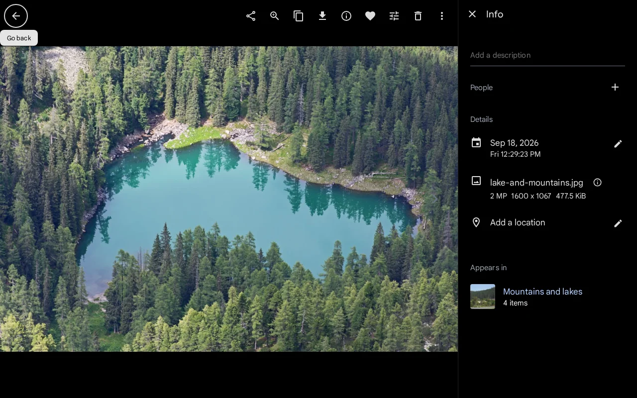 Asset viewer with a side panel showing date, file size, and the album it appears in